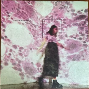 Sometimes, Forever cover art