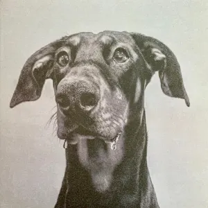Postindustrial Hometown Blues cover art