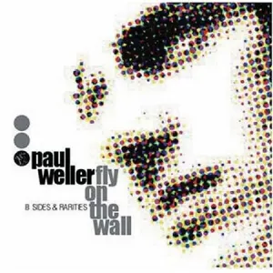 Fly On The Wall (B Sides & Rarities) cover art
