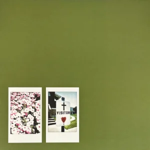 Visitor cover art