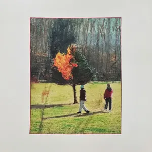Calling The Dogs cover art