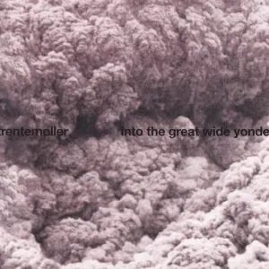 Into The Great Wide Yonder cover art