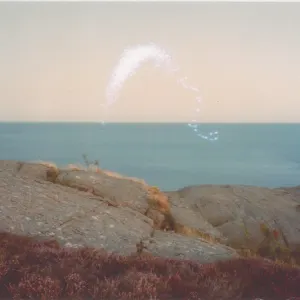 An Overview On Phenomenal Nature cover art