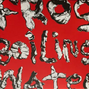 Frog In Boiling Water cover art