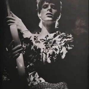 Rock 'N' Roll Star! cover art
