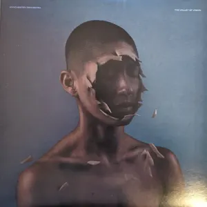 The Valley Of Vision cover art