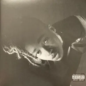 Grey Area cover art