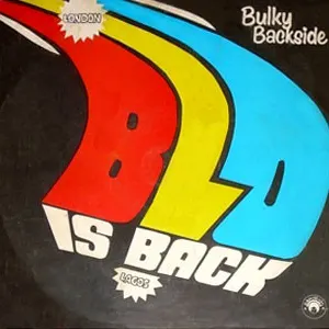 Bulky Backside cover art