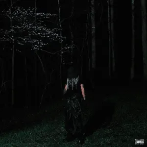 If Looks Could Kill cover art