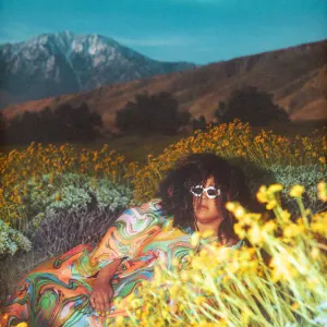 What Now cover art