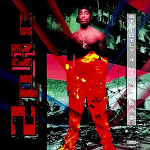 Strictly 4 My N.I.G.G.A.Z... cover art