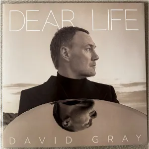 Dear Life cover art