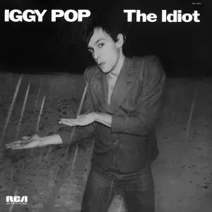 The Idiot cover art