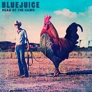 Head Of The Hawk cover art