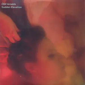 Sudden Elevation cover art