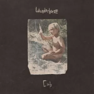 Cub cover art