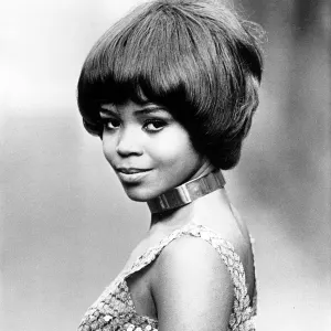 P.P. Arnold