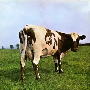 Atom Heart Mother cover art