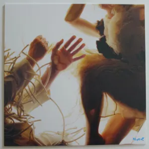 Animal cover art