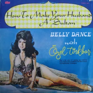 How To Make Your Husband A Sultan cover art
