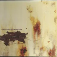 The Downward Spiral cover art