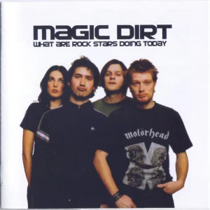 What Are Rock Stars Doing Today cover art