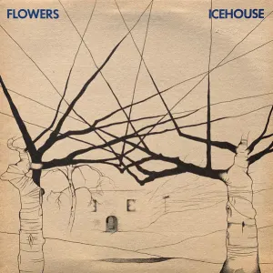 Icehouse cover art