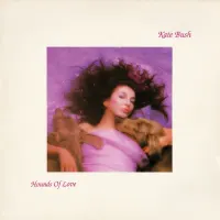 Hounds Of Love cover art