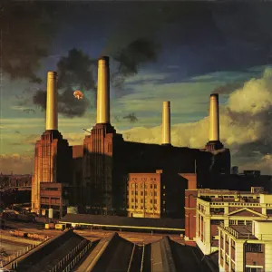 Animals cover art