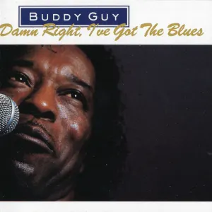 Damn Right, I've Got The Blues cover art