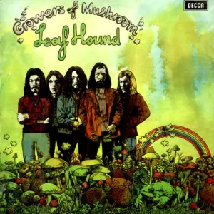 Growers Of Mushroom cover art