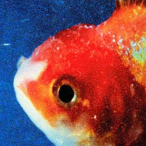 Big Fish Theory cover art