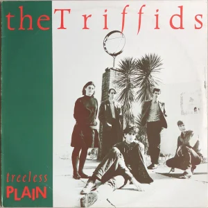 Treeless Plain cover art