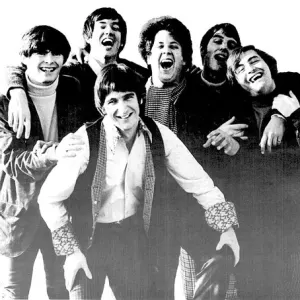 The Turtles