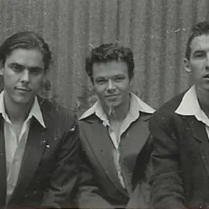 The Whitlams