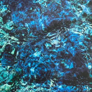 Luminescent Creatures cover art