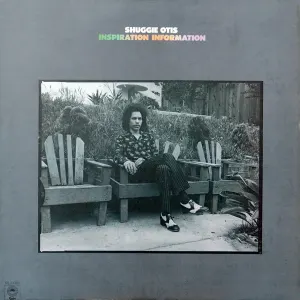 Inspiration Information cover art