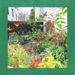 Unwishing Well cover art