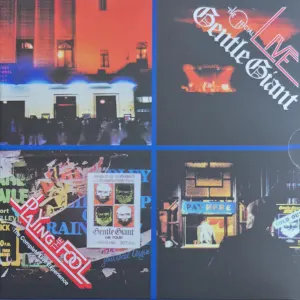 Playing The Fool cover art