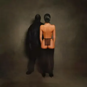 Vultures 1 cover art