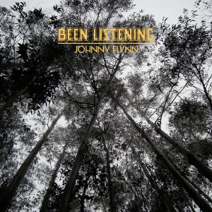 Been Listening cover art