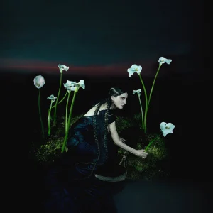 A Requiem cover art