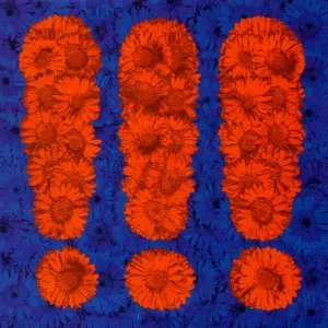 !!! cover art