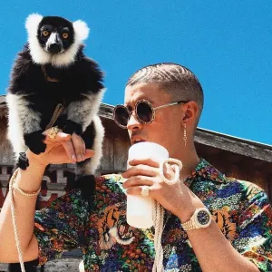 Bad Bunny / Benito*