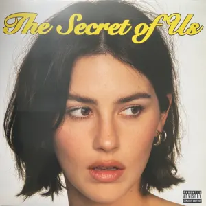The Secret Of Us cover art