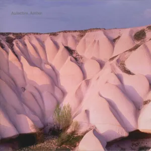 Amber cover art