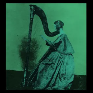 Grapes Upon The Vine cover art