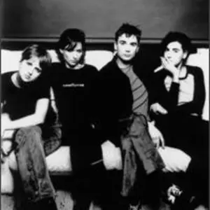 Elastica