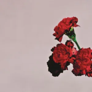 Love In The Future  cover art