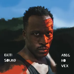 Abeg No Vex cover art